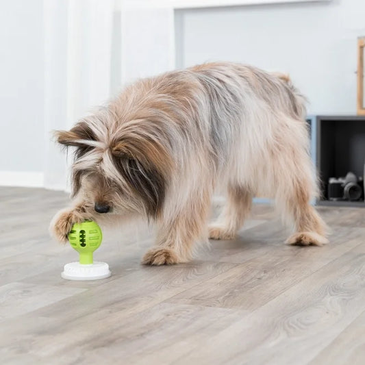 Lick 'n' Snack Boll aktiveringsboll